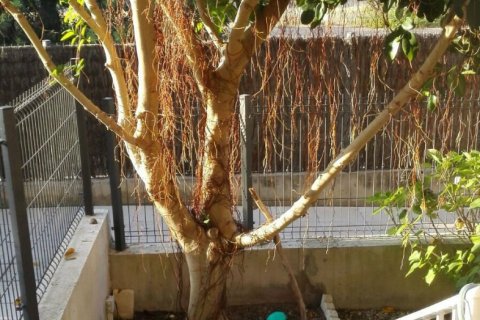 Wohnung zum Verkauf Coma-Ruga, Tarragona, Spanien 4 Schlafzimmer, 120 m2 Nr. 11736 - Foto 10