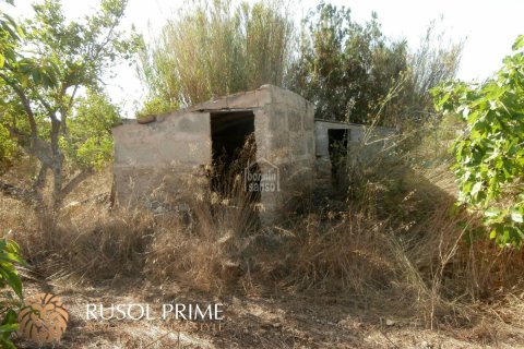 Townhouse zum Verkauf Arta, Mallorca, Spanien 2 Schlafzimmer, 174 m2 Nr. 11352 - Foto 5