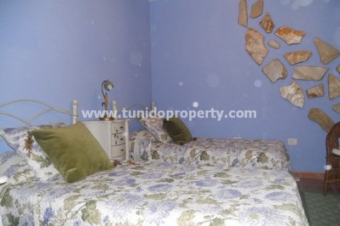 Villa zum Verkauf Arico, Tenerife, Spanien 5 Schlafzimmer, 295 m2 Nr. 24329 - Foto 9