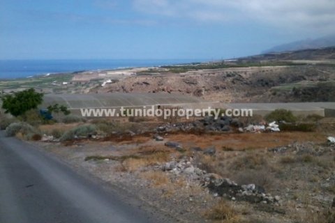 Land zum Verkauf in Guia de Isora, Tenerife, Spanien 135000 m2 Nr. 24325 - Foto 9