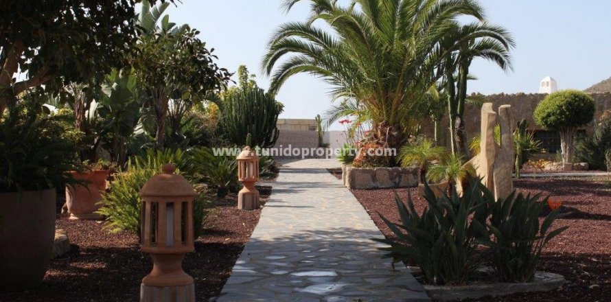 Villa in San Miguel de Abona, Tenerife, Spanien 2 Schlafzimmer, 2900 m2 Nr. 24355