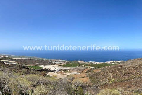 Land zum Verkauf in Puerto de Santiago, Tenerife, Spanien 15 m2 Nr. 24665 - Foto 12