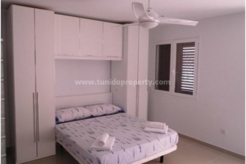 Duplex zum Verkauf in Playa de las Americas, Tenerife, Spanien 6 Schlafzimmer, 230 m2 Nr. 24290 - Foto 8