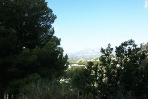 Land zum Verkauf in Altea, Alicante, Spanien 9586 m2 Nr. 25017 - Foto 6