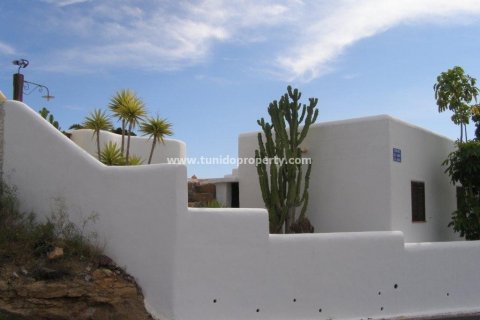 Villa zum Verkauf in San Miguel de Abona, Tenerife, Spanien 2 Schlafzimmer, 2900 m2 Nr. 24355 - Foto 25