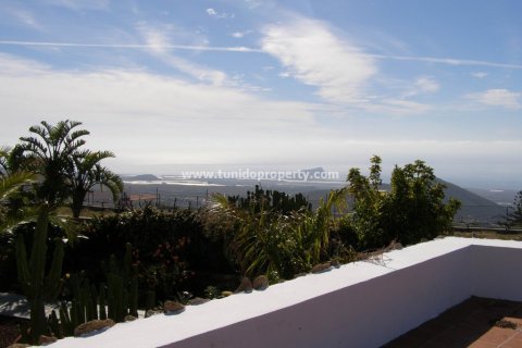 Villa zum Verkauf in San Miguel de Abona, Tenerife, Spanien 2 Schlafzimmer, 2900 m2 Nr. 24355 - Foto 11