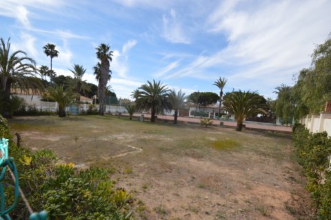Land zum Verkauf in Cabo Roig, Alicante, Spanien 1380 m2 Nr. 19180 - Foto 3