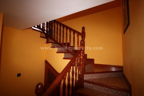 Villa zum Verkauf Buzanada, Tenerife, Spanien 3 Schlafzimmer, 300 m2 Nr. 24306 - Foto 17