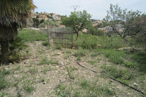 Land zum Verkauf in Calpe, Alicante, Spanien 810 m2 Nr. 24986 - Foto 7