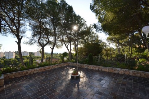 Villa zum Verkauf Campoamor, Alicante, Spanien 8 Schlafzimmer, 770 m2 Nr. 19277 - Foto 6