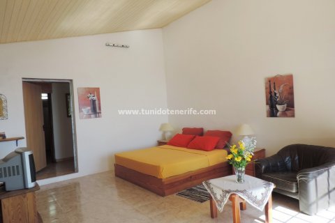 Finca zum Verkauf in Guia de Isora, Tenerife, Spanien 4 Schlafzimmer, 110 m2 Nr. 24357 - Foto 23
