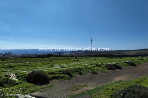 Land zum Verkauf in Granadilla de Abona, Tenerife, Spanien 44400 m2 Nr. 24662 - Foto 4