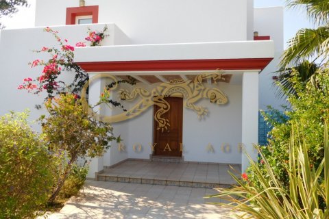 Villa zur Miete in Santa Gertrudis De Fruitera, Ibiza, Spanien 5 Schlafzimmer, 400 m2 Nr. 30888 - Foto 2
