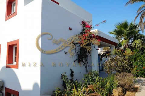 Villa zur Miete in Santa Gertrudis De Fruitera, Ibiza, Spanien 5 Schlafzimmer, 400 m2 Nr. 30888 - Foto 3