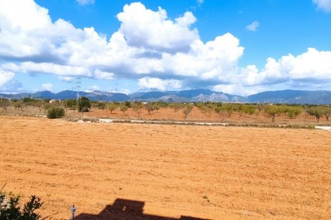 House zum Verkauf El Pont D'inca, Mallorca, Spanien 3 Zimmer, 180 m2 Nr. 31679 - Foto 7
