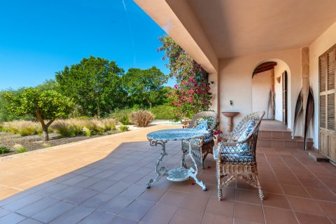 Finca zum Verkauf in Ses Salines, Mallorca, Spanien 4 Schlafzimmer, 489 m2 Nr. 32482 - Foto 19