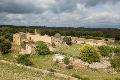 Finca zum Verkauf in Lloret De Vistalegre, Mallorca, Spanien 10 Schlafzimmer, 920 m2 Nr. 32872 - Foto 8