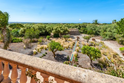 Finca zum Verkauf in Ses Salines, Mallorca, Spanien 4 Schlafzimmer, 489 m2 Nr. 32482 - Foto 22