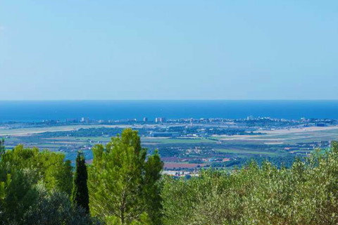 Land zum Verkauf in Puntiro, Mallorca, Spanien 15215 m2 Nr. 32858 - Foto 1