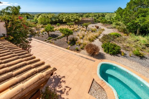 Finca zum Verkauf in Ses Salines, Mallorca, Spanien 4 Schlafzimmer, 489 m2 Nr. 32482 - Foto 21