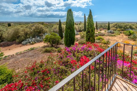 Finca zum Verkauf in Ses Salines, Mallorca, Spanien 4 Schlafzimmer, 489 m2 Nr. 32482 - Foto 20