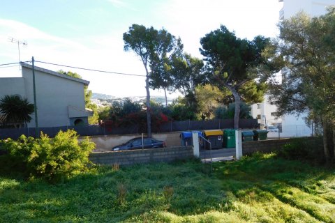 Land zum Verkauf in Palmanova, Mallorca, Spanien 1295 m2 Nr. 32834 - Foto 3