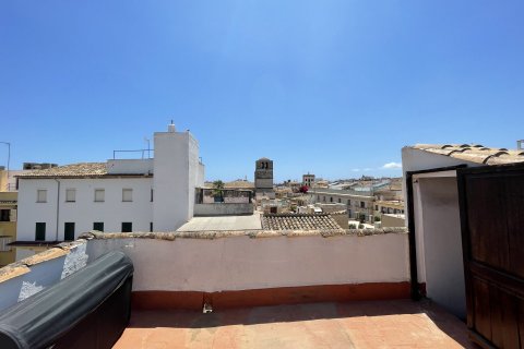 Wohnung zum Verkauf in Palma de Majorca, Mallorca, Spanien 2 Schlafzimmer, 170 m2 Nr. 33269 - Foto 4