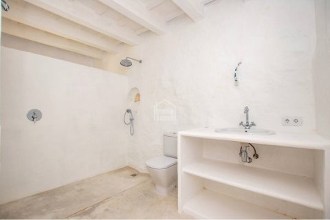House zum Verkauf in Alaior, Menorca, Spanien 7 Schlafzimmer, 875 m2 Nr. 37003 - Foto 10