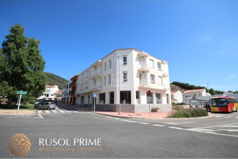House zum Verkauf in Ferreries, Menorca, Spanien 30 Schlafzimmer, 2042 m2 Nr. 10651 - Foto 1