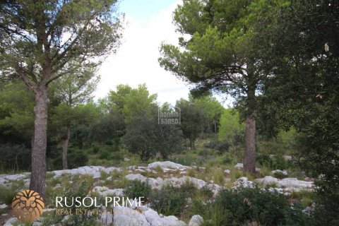 Gewerbeimmobilien zum Verkauf in Es Mercadal, Menorca, Spanien 3254550 m2 Nr. 39224 - Foto 10