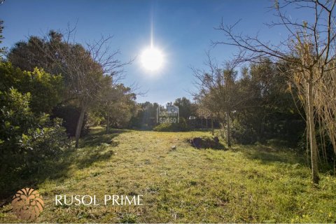 Villa zum Verkauf Alaior, Menorca, Spanien 5 Schlafzimmer, 330 m2 Nr. 11201 - Foto 7