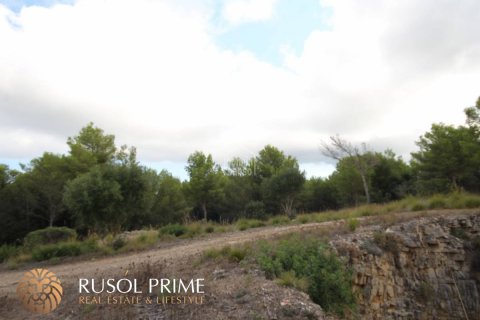 Gewerbeimmobilien zum Verkauf in Es Mercadal, Menorca, Spanien 3254550 m2 Nr. 39224 - Foto 12