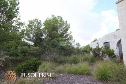 Gewerbeimmobilien zum Verkauf in Es Mercadal, Menorca, Spanien 3254550 m2 Nr. 39224 - Foto 11