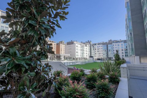El Jardin de la Reina Madrid, Spanien Nr. 40323 - Foto 5