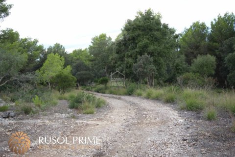 Gewerbeimmobilien zum Verkauf in Es Mercadal, Menorca, Spanien 3254550 m2 Nr. 39224 - Foto 16