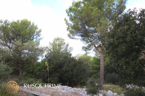 Gewerbeimmobilien zum Verkauf in Es Mercadal, Menorca, Spanien 3254550 m2 Nr. 39224 - Foto 14