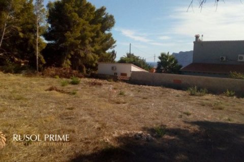 Land zum Verkauf in Calpe, Alicante, Spanien 2000 m2 Nr. 39408 - Foto 2