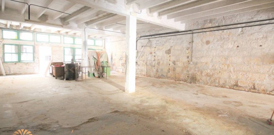Garage Ciutadella De Menorca, Menorca, Spanien 255 m2 Nr. 46978