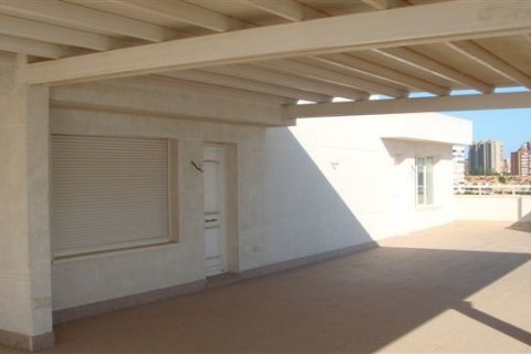 Penthäuser zum Verkauf in Alicante, Spanien 6 Schlafzimmer, 1.09 m2 Nr. 44606 - Foto 8