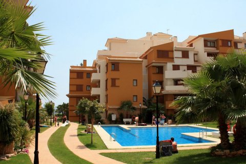 La Recoleta III in Torrevieja, Alicante, Spanien Nr. 41325 - Foto 4