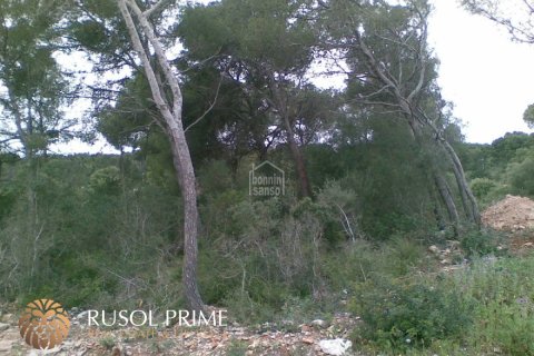Land zum Verkauf in Es Mercadal, Menorca, Spanien Nr. 47063 - Foto 5