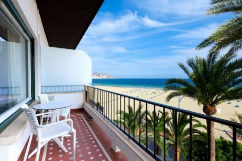 Hotel zum Verkauf in Benidorm, Alicante, Spanien 93 Schlafzimmer,  Nr. 43488 - Foto 7