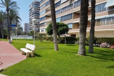 Wohnung zum Verkauf in Alicante, Spanien 3 Schlafzimmer, 90 m2 Nr. 45162 - Foto 8