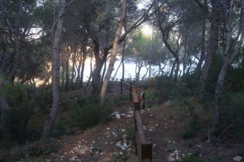 Land zum Verkauf Benissa, Alicante, Spanien Nr. 44392 - Foto 5