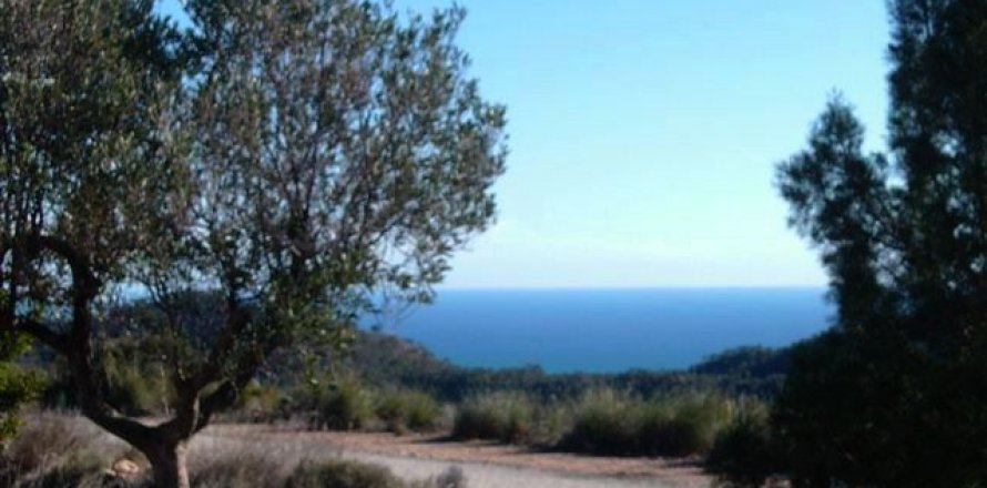 Land in Villajoyosa, Alicante, Spanien Nr. 42607