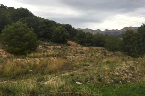 Land zum Verkauf in Altea, Alicante, Spanien Nr. 42556 - Foto 6