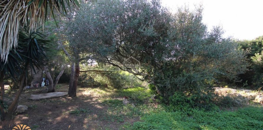 Land in Ciutadella De Menorca, Menorca, Spanien 1282 m2 Nr. 47098