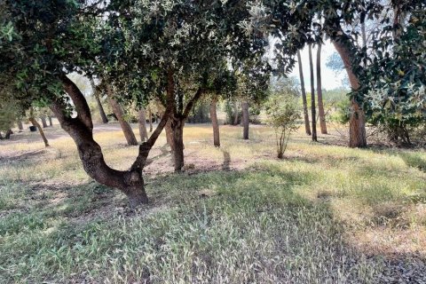 Finca zum Verkauf in Llubi, Mallorca, Spanien 4 Schlafzimmer, 245 m2 Nr. 46777 - Foto 30