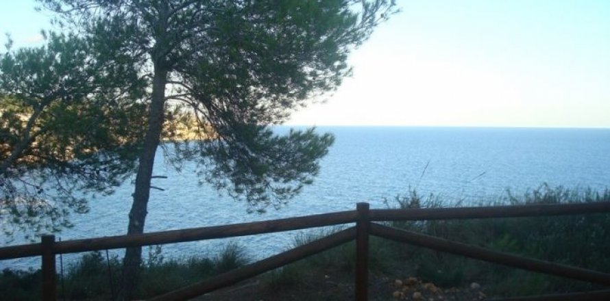 Land Benissa, Alicante, Spanien Nr. 44392