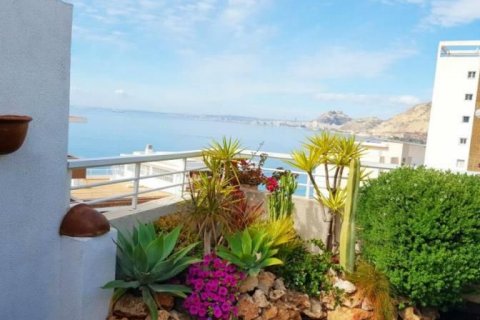 Penthäuser zum Verkauf Alicante, Spanien 3 Schlafzimmer, 350 m2 Nr. 44629 - Foto 1